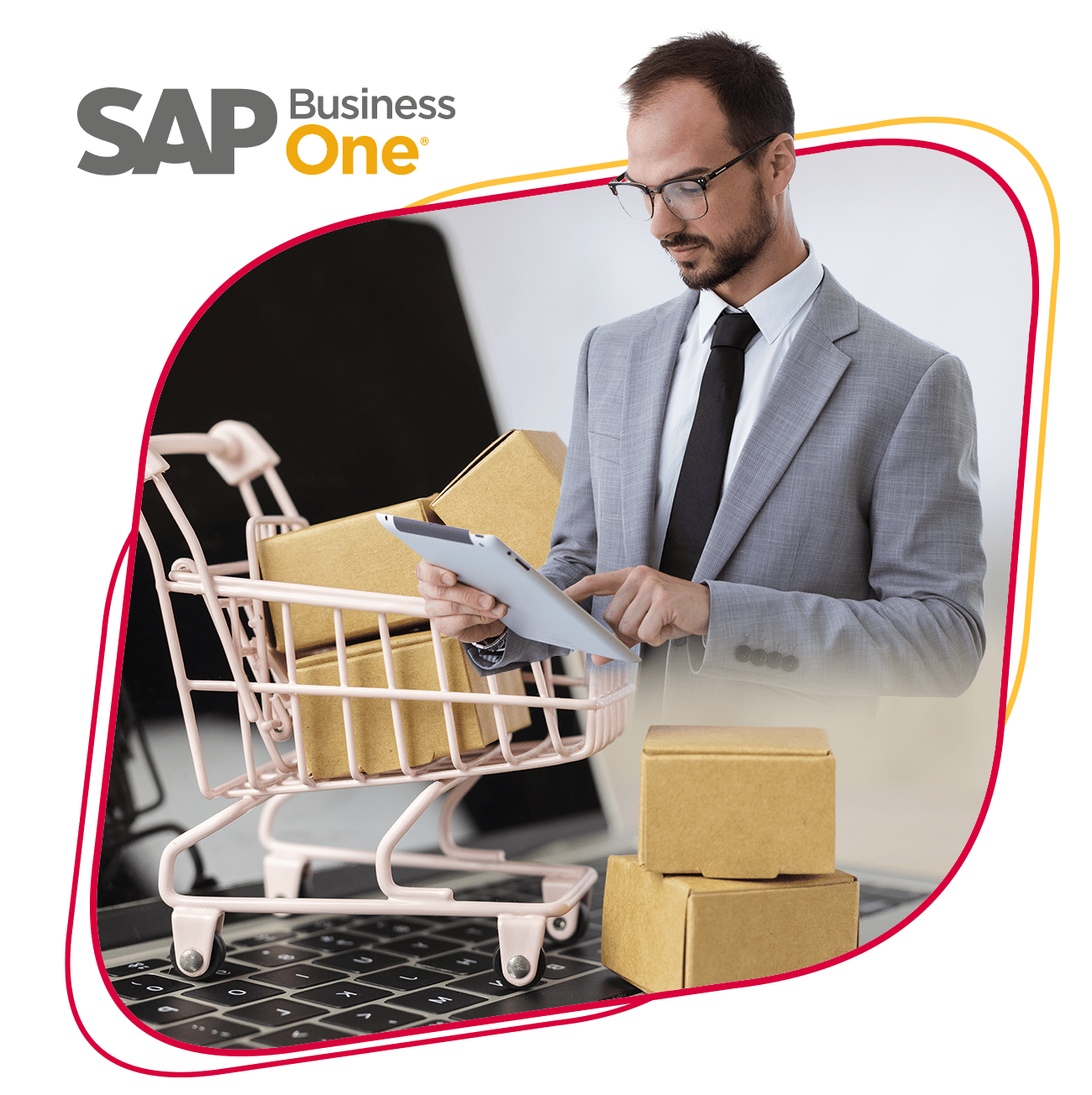 Comercio linea hogar_SAP business One