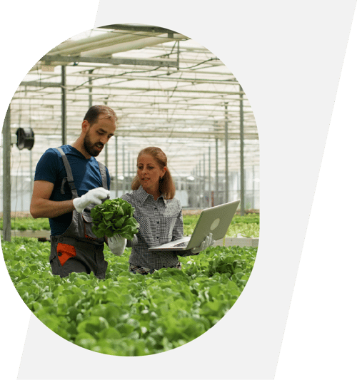 agro_01