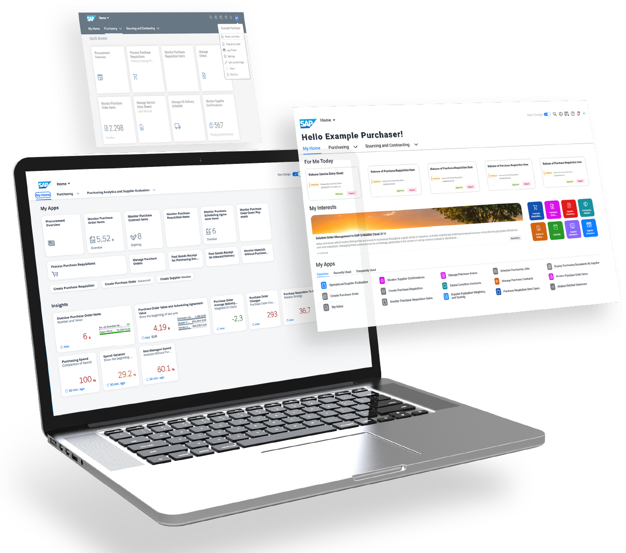 computer_SAPB1 computer_SAPB1