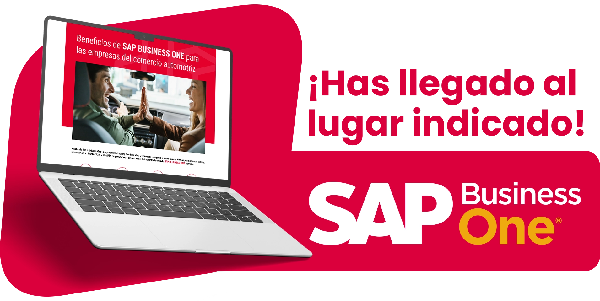 Ebook-automotriz-SAP business