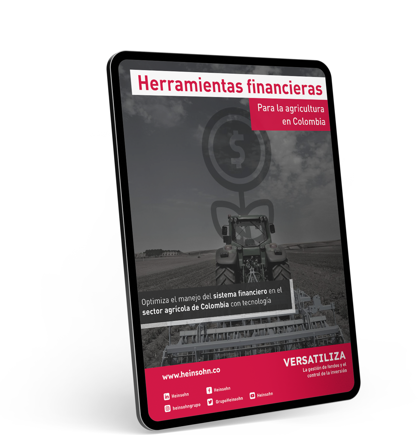 ebook-Heinsohn-sector agricola